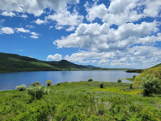 $1,195,000 | 6645-64 64 6/10 Road, Collbran, CO 81624