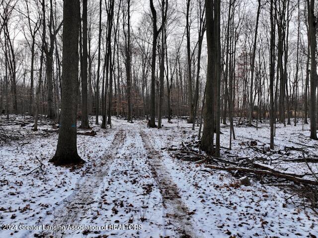 0 South Royston Road Eaton Rapids, MI 48827 - Photo 11 of 15 dji_fly_20241215_170500_0406_17342107361