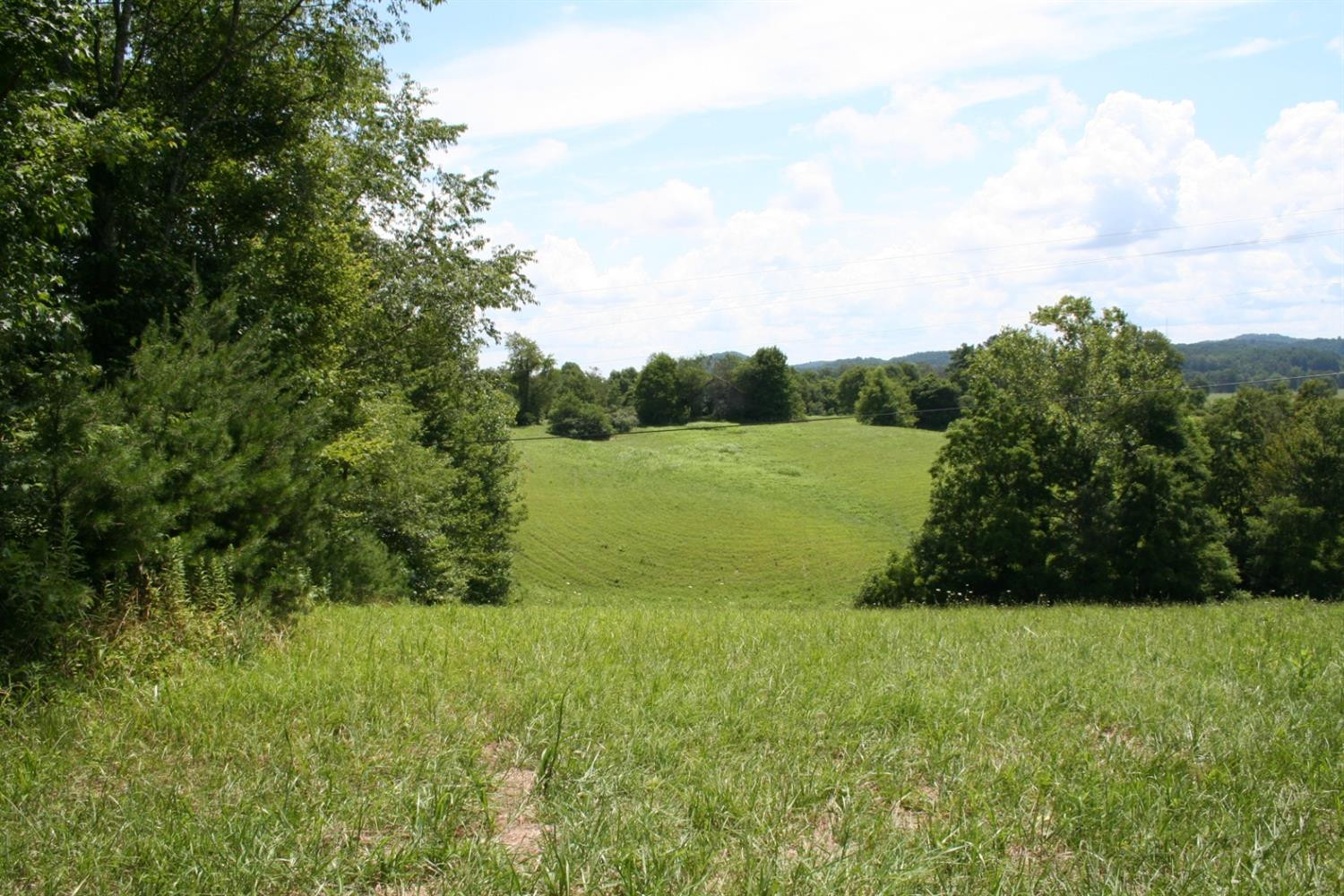 1969 McWhorter Road London, KY 40741 - Photo 4 of 17 Photo 4