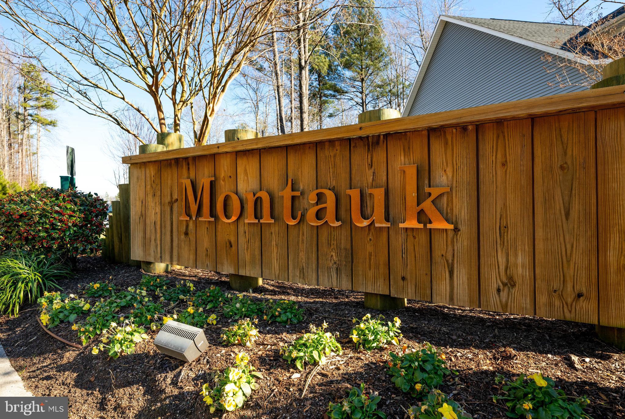 33415 Bridgehampton Lane Lewes, DE 19958 - Photo 43 of 66 a view of a pathway with a flower plants