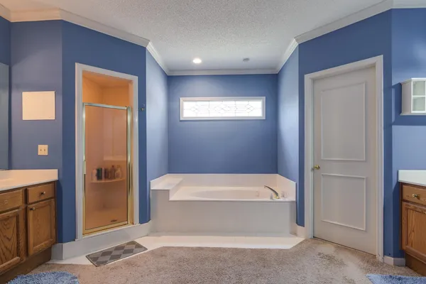 a bathroom with a bathtub and shower