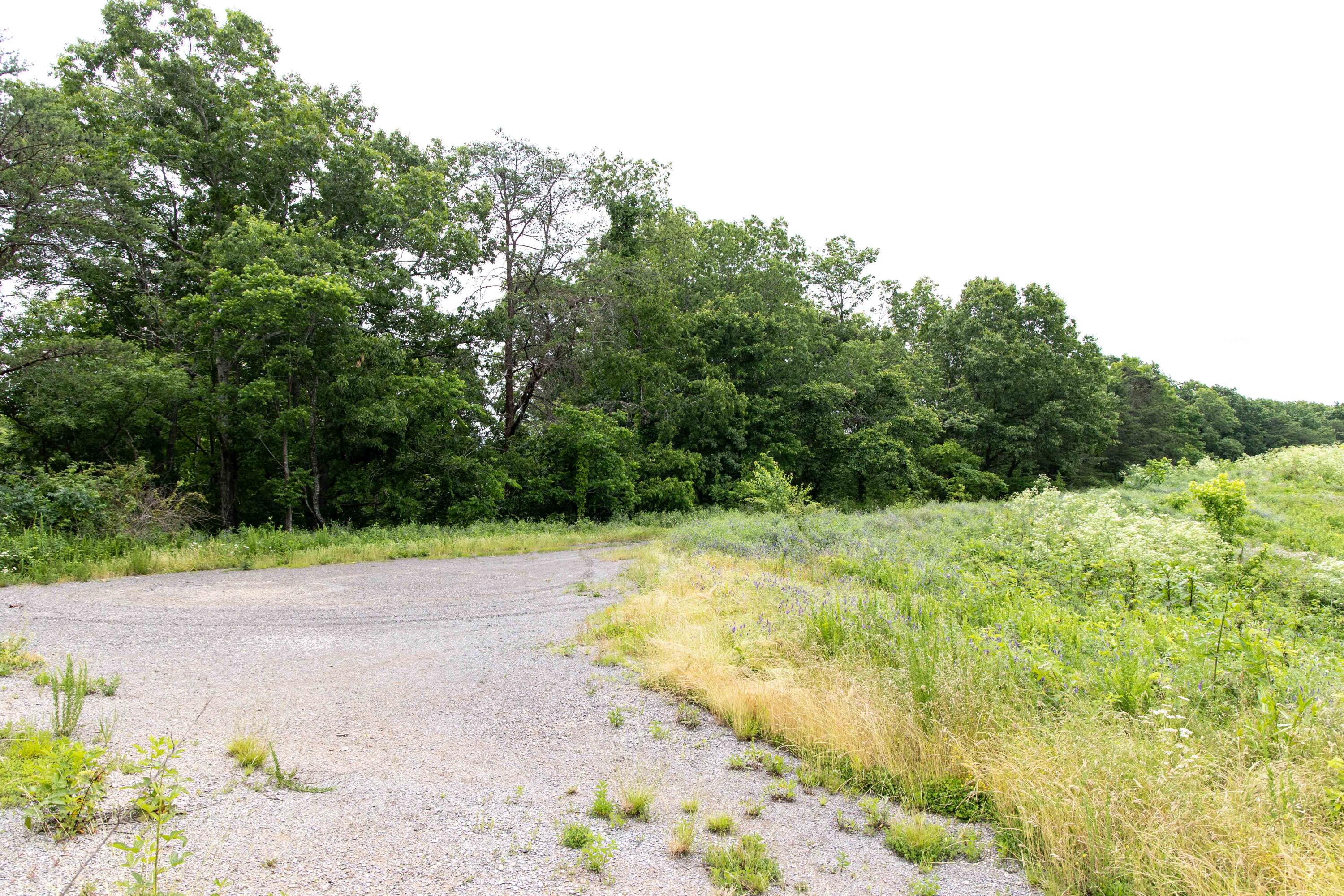 799 Hargett Road Irvine, KY 40336 - Photo 44 of 71 779Hargetroad-49