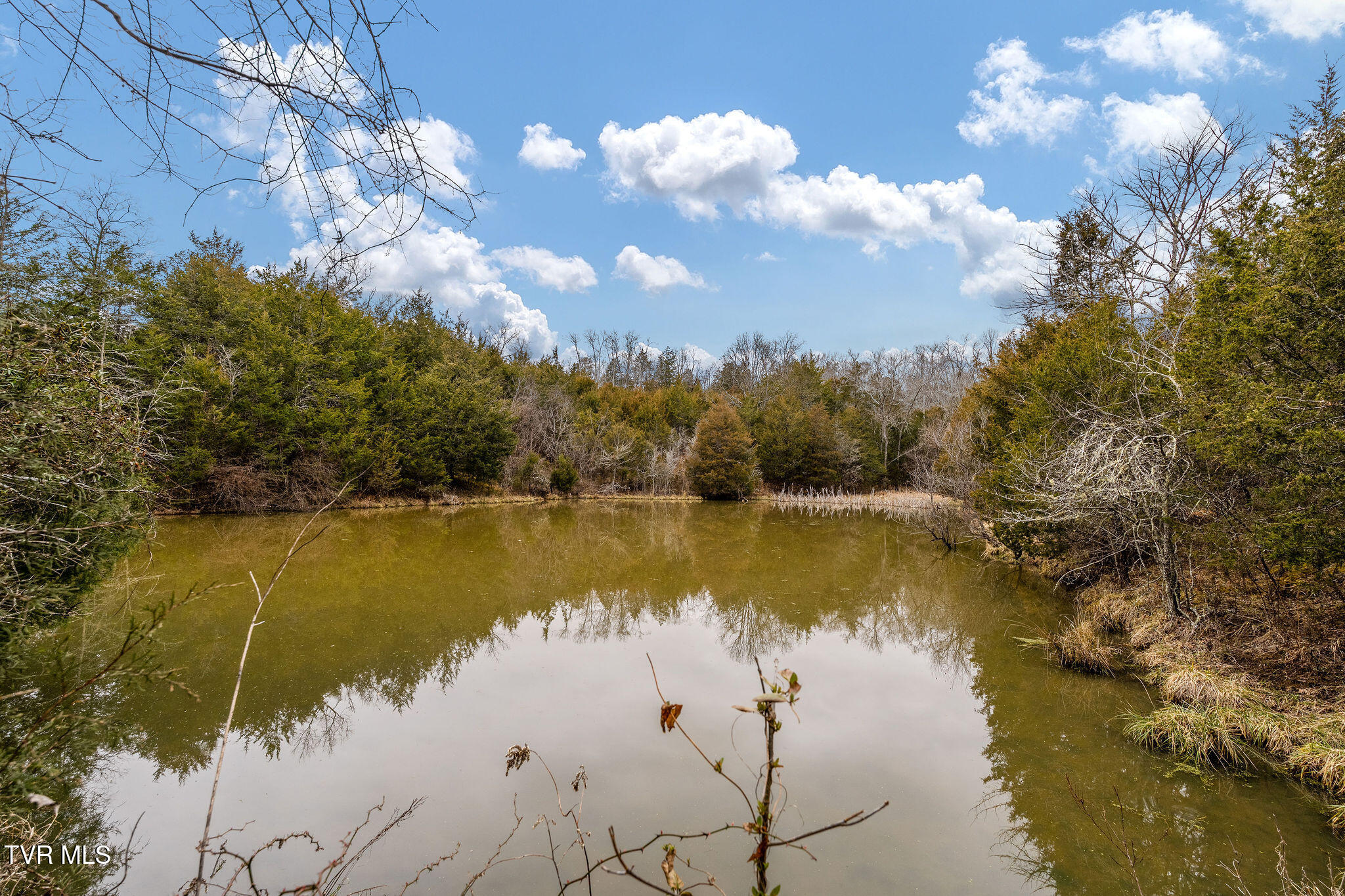 Tbd Smithtown Road Afton, TN 37616 - Photo 12 of 52 DSC03774