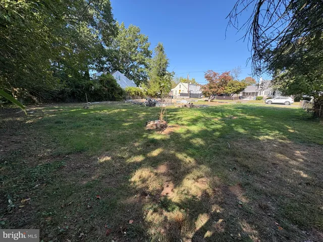 a view of yard with green space