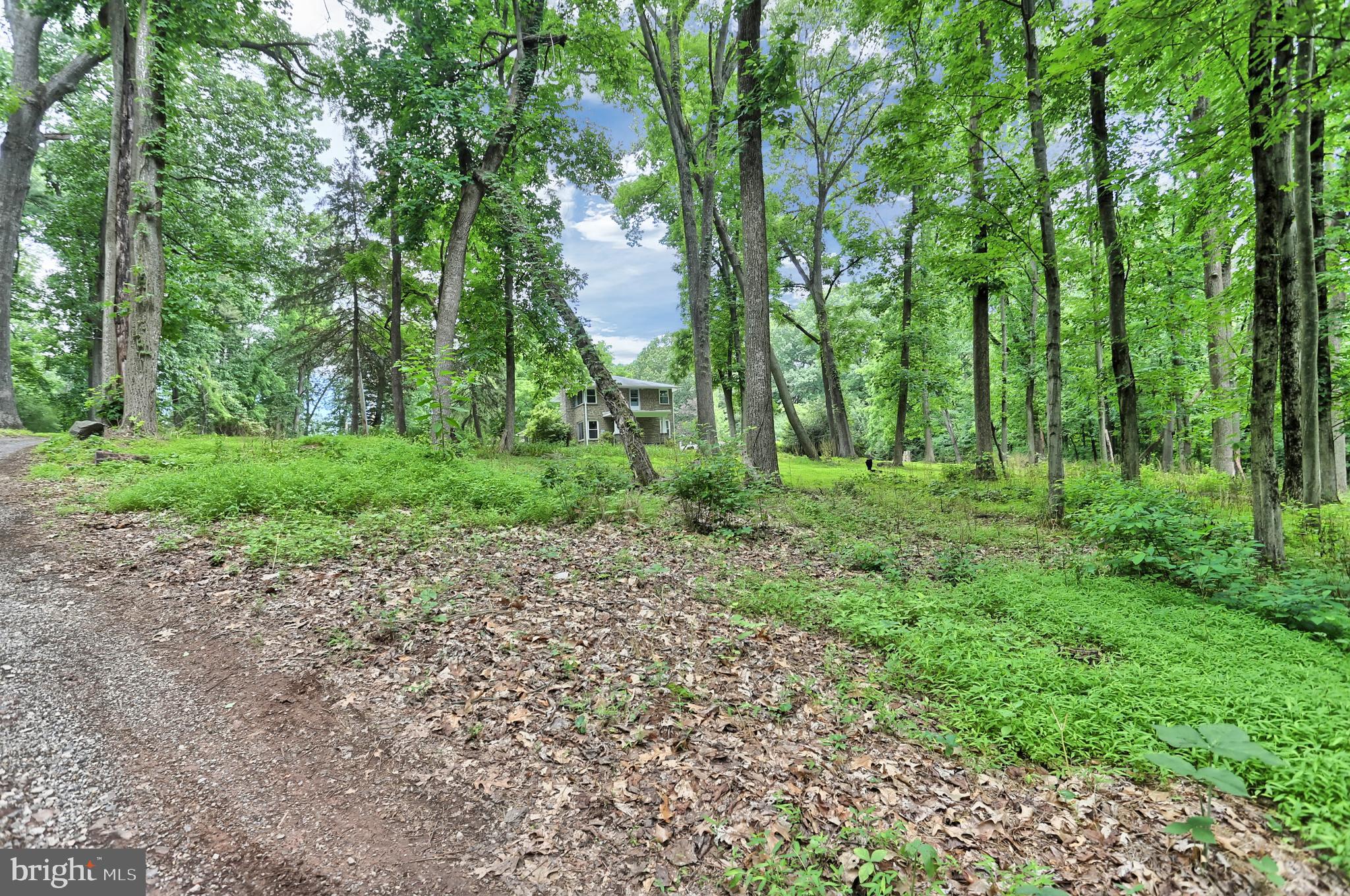 175 Pickett Road Dover, PA 17315 - Photo 53 of 59 Gallery Image 53