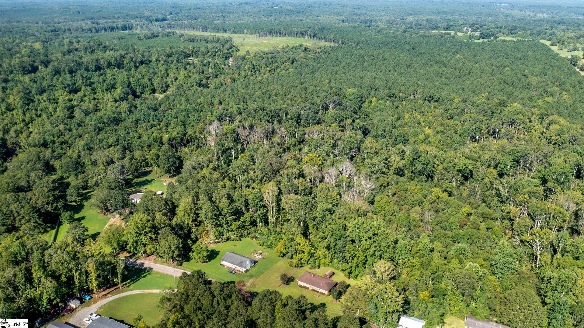 3190 Apple Orchard Road Clinton, SC 29325 - Photo 28 of 34