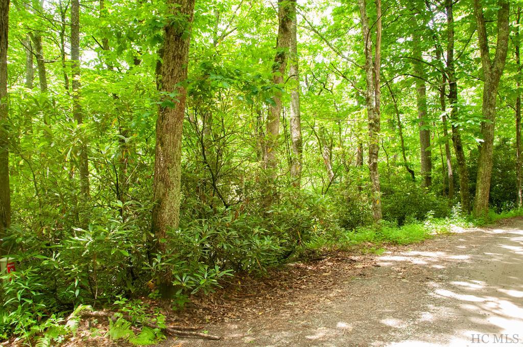 Tbd Billy Cabin Road Highlands, NC 28741 - Photo 12 of 13 Gallery Image 12