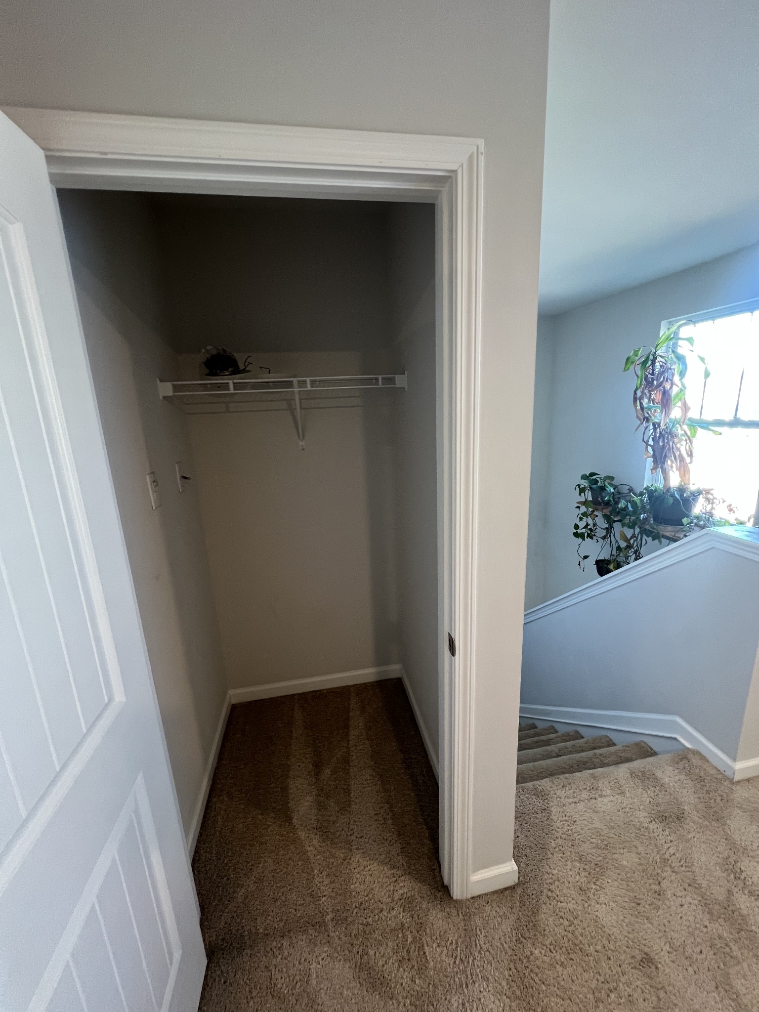 231 Tessa Grace Way Murfreesboro, TN 37129 - Photo 25 of 34 a view of storage area