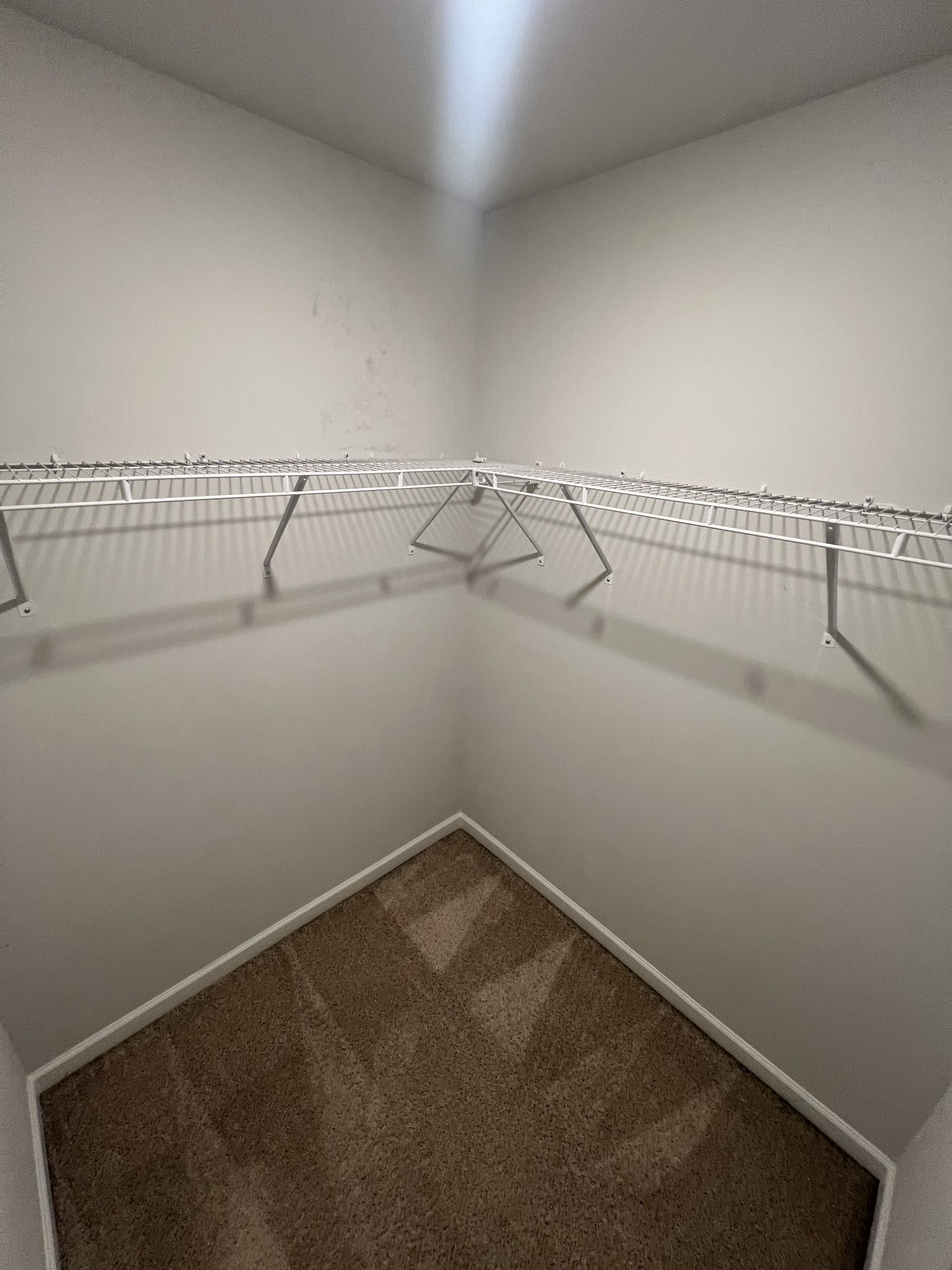 231 Tessa Grace Way Murfreesboro, TN 37129 - Photo 30 of 34 a view of a room