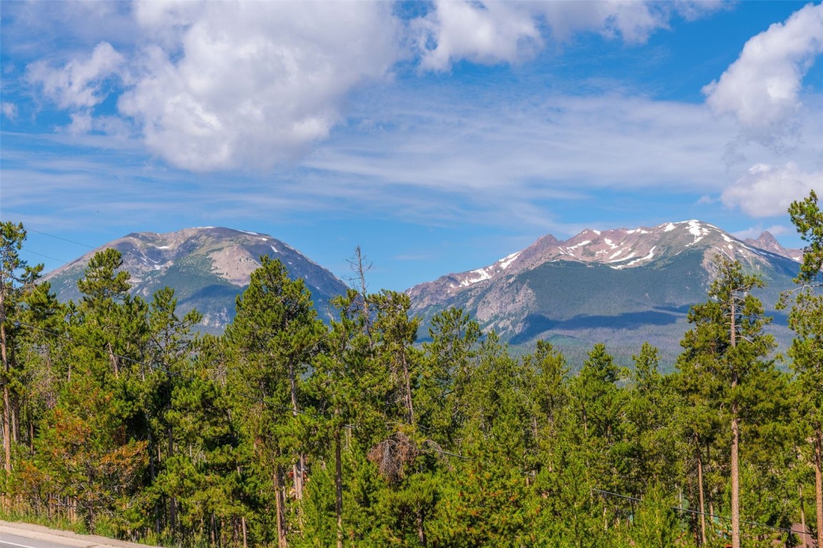 110 Evergreen Road, Unit 102 Dillon, CO 80435 - Photo 16 of 30 a view of a flower in a garden