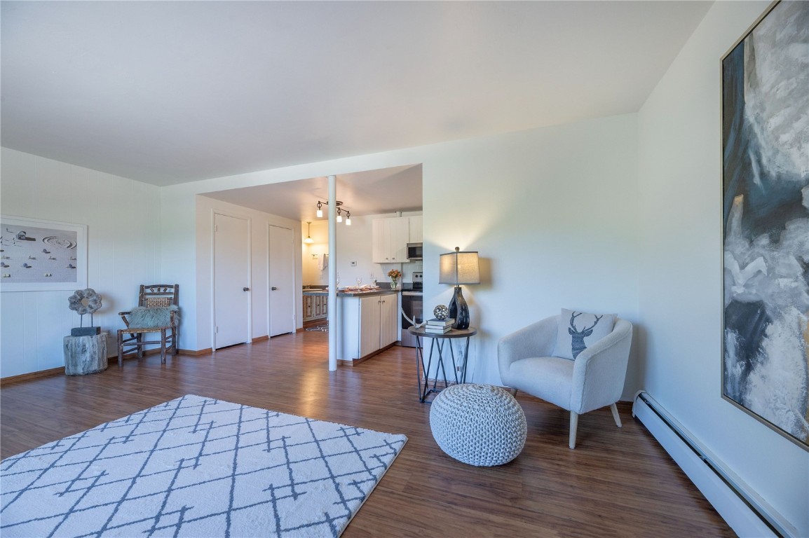 110 Evergreen Road, Unit 102 Dillon, CO 80435 - Photo 3 of 30 a view of livingroom and dining room with furniture wooden floor and a rug