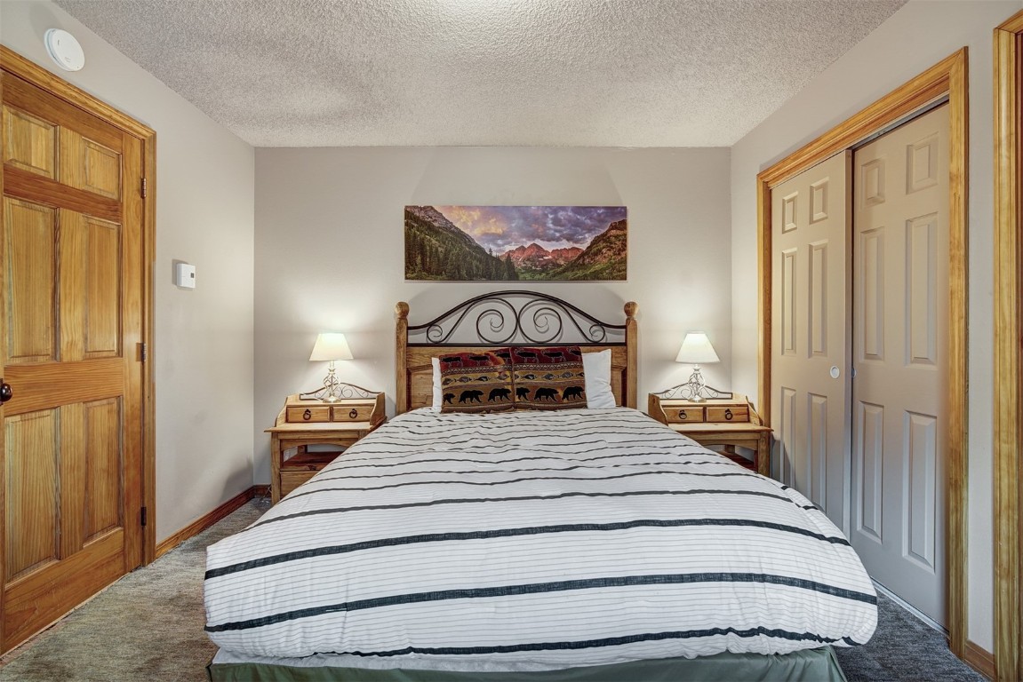 3713 Silverheels Drive, Unit D Silverthorne, CO 80498 - Photo 11 of 27