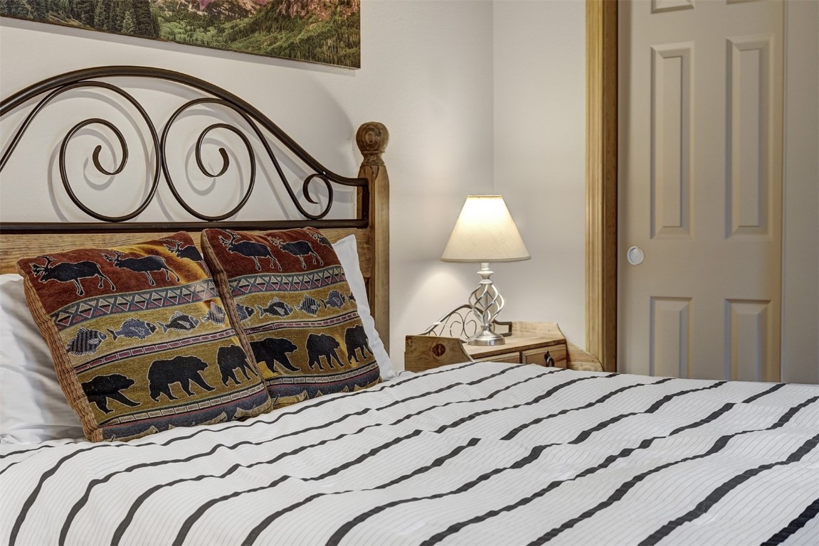 3713 Silverheels Drive, Unit D Silverthorne, CO 80498 - Photo 12 of 27