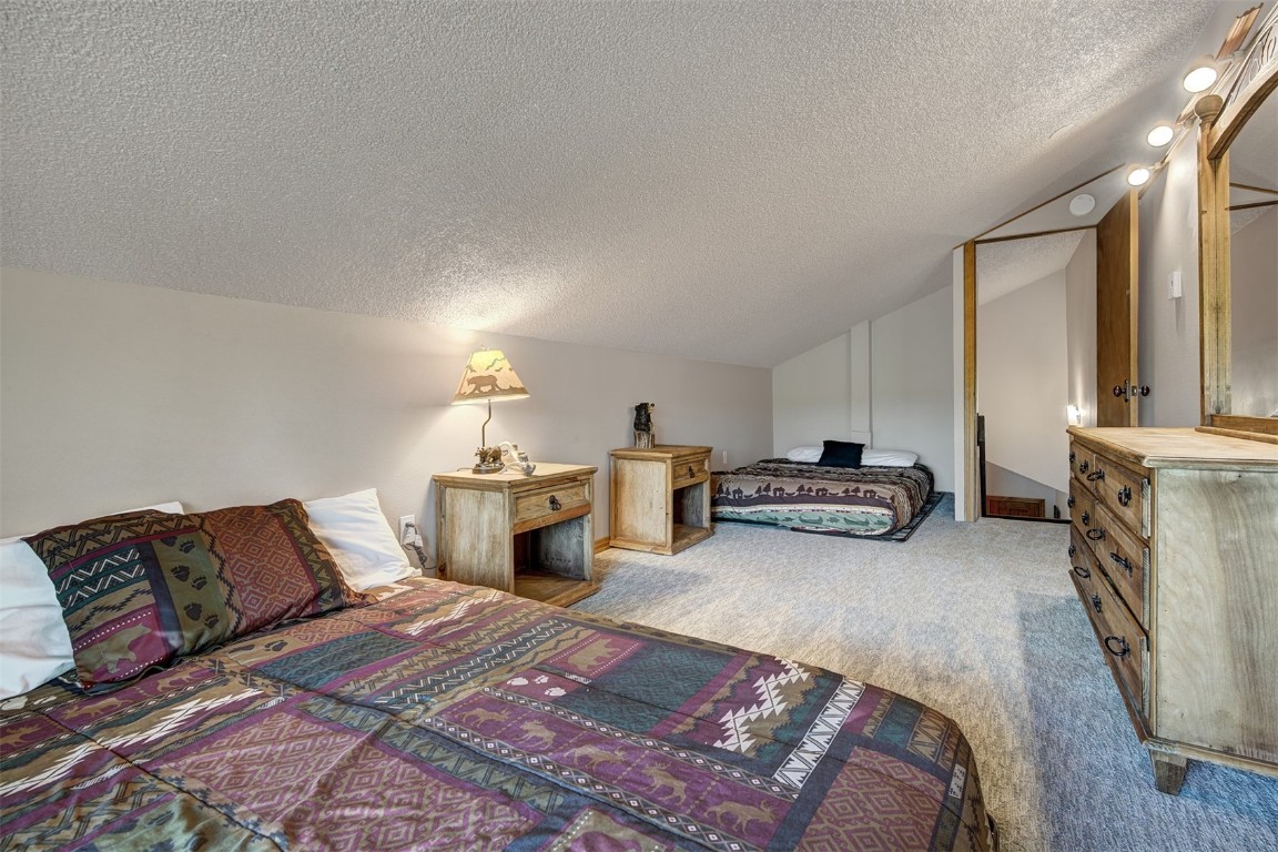 3713 Silverheels Drive, Unit D Silverthorne, CO 80498 - Photo 14 of 27