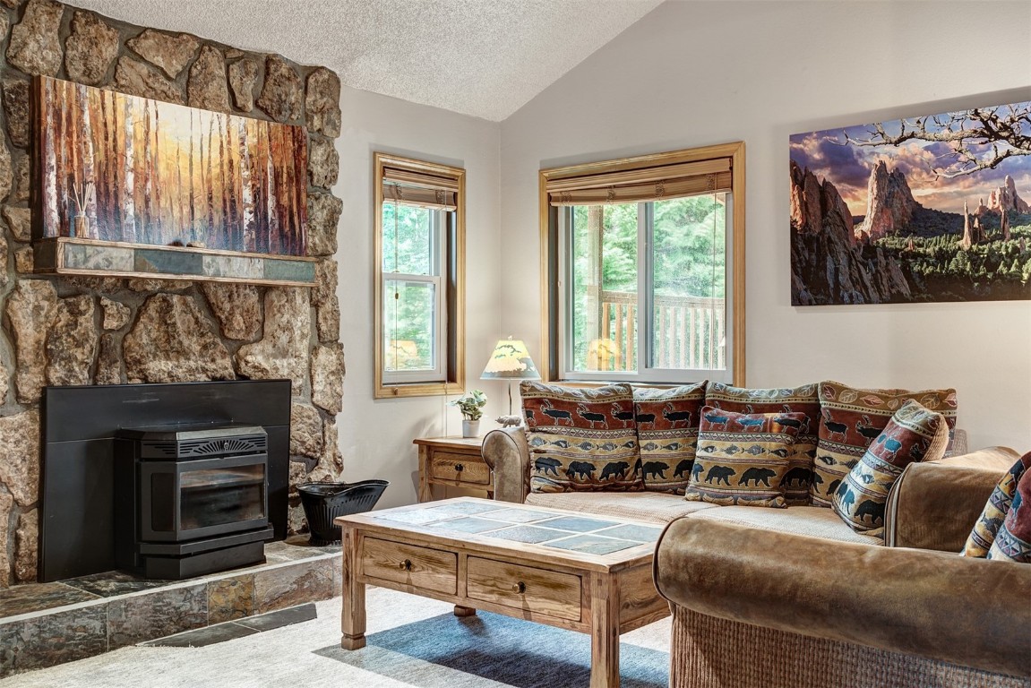 3713 Silverheels Drive, Unit D Silverthorne, CO 80498 - Photo 2 of 27