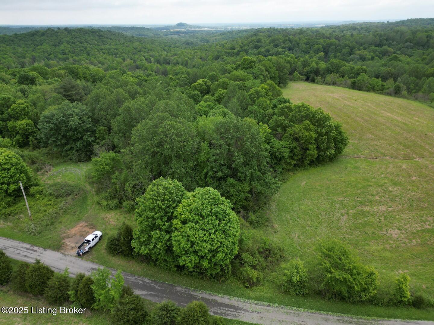 Lot 9 Duvall Road Caneyville, KY 42721 - Photo 4 of 4 L9-2