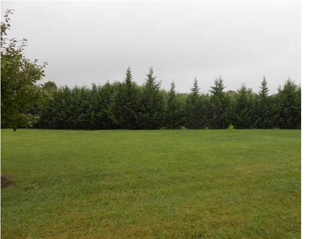 6764 Dove Field Road Hixson, TN 37343 - Photo 22 of 23 Additional Photo