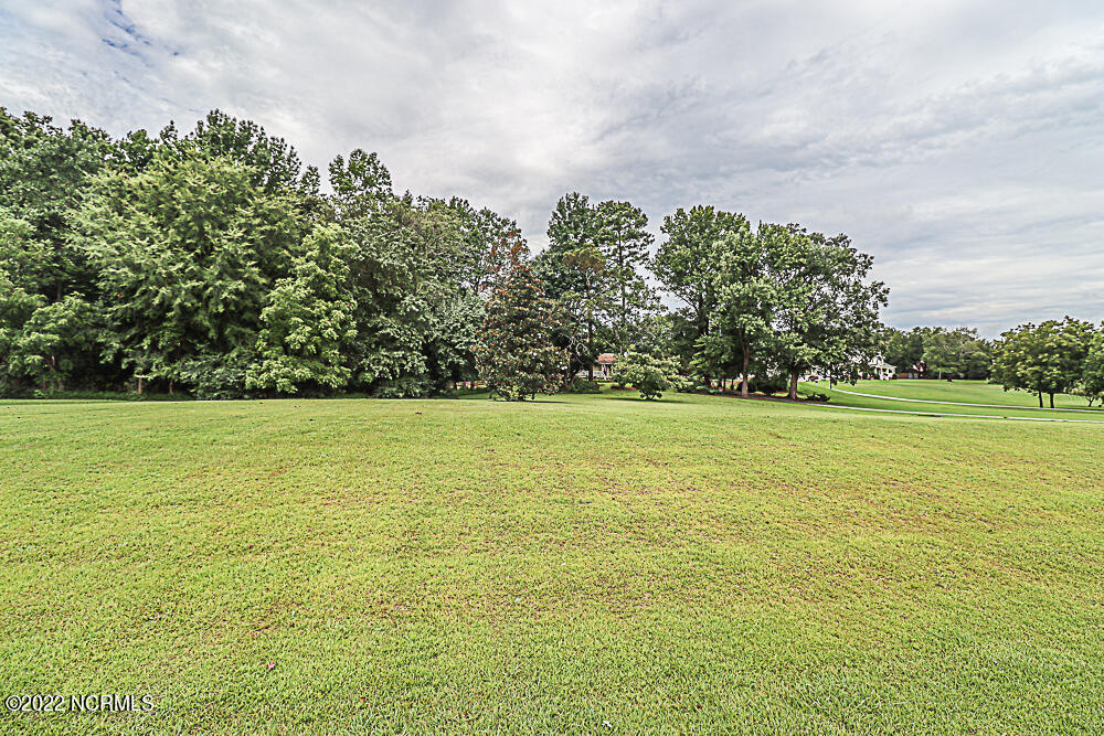 5442 Red Road Nashville, NC 27856 - Photo 14 of 45 Acreage