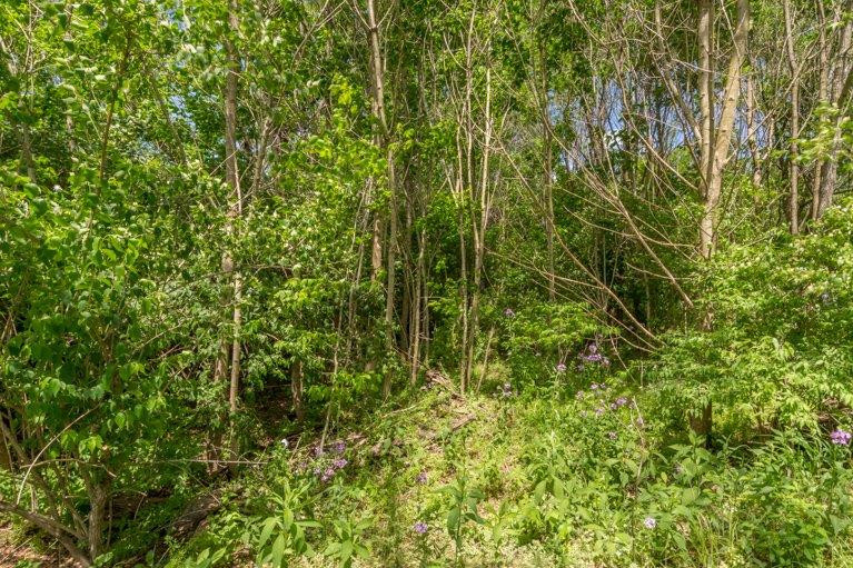 4641 Bybee Road Winchester, KY 40391 - Photo 41 of 47 Photo 41