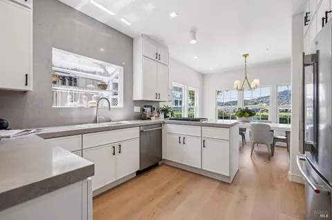 a kitchen with a stove a sink and a potted plant