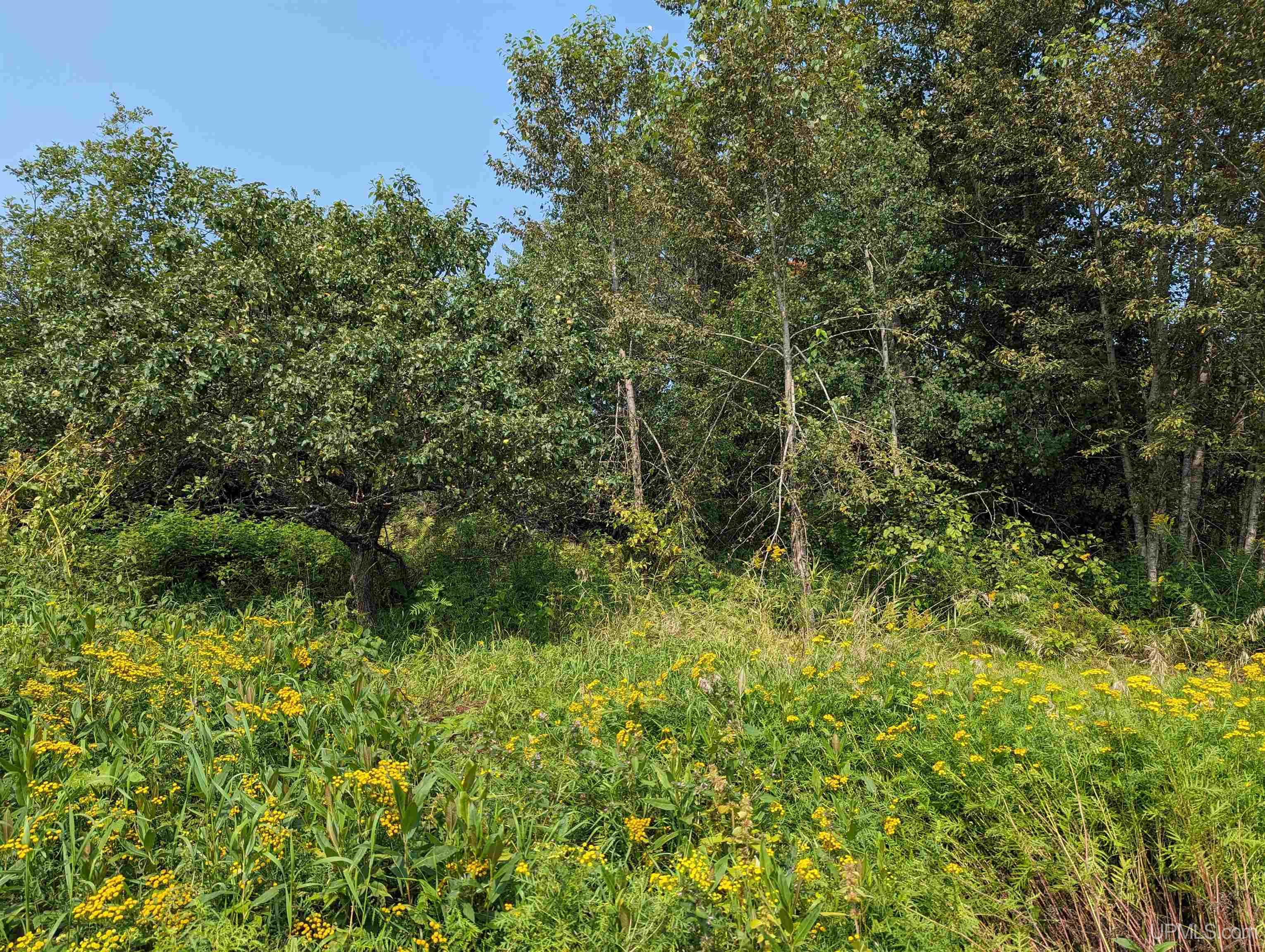 Tbd Tbd Co Road Ishpeming, MI 49849 - Photo 5 of 10