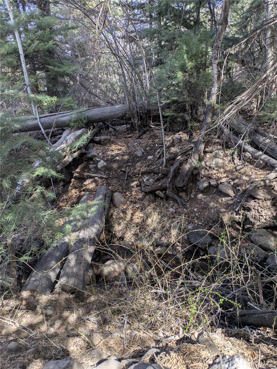 446 Arrowhead Way, Unit OVERLOOK Crestone, CO 81131 - Photo 12 of 18 a view of a forest with a tree