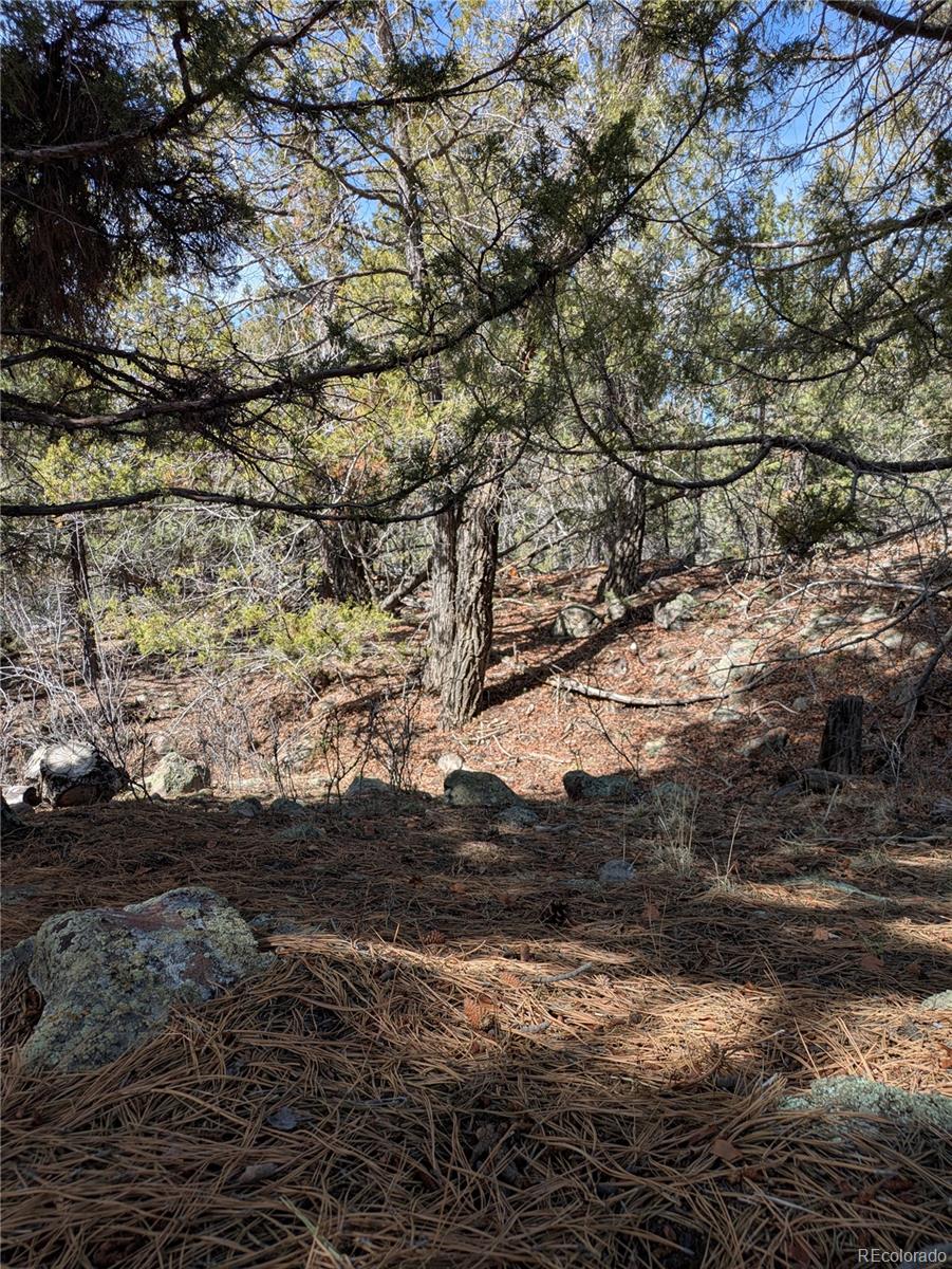 446 Arrowhead Way, Unit OVERLOOK Crestone, CO 81131 - Photo 13 of 18 a view of mountain view with lots of trees