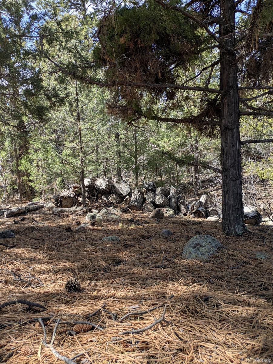 446 Arrowhead Way, Unit OVERLOOK Crestone, CO 81131 - Photo 14 of 18 a view of a yard with plants and large trees