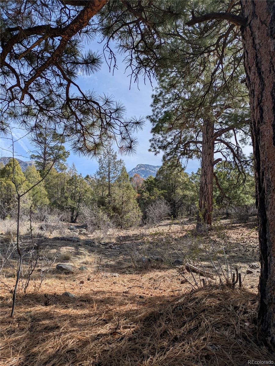 446 Arrowhead Way, Unit OVERLOOK Crestone, CO 81131 - Photo 15 of 18 a view of a yard with a tree