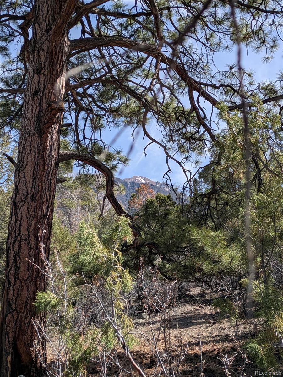 446 Arrowhead Way, Unit OVERLOOK Crestone, CO 81131 - Photo 16 of 18 a backyard of a house with lots of green space