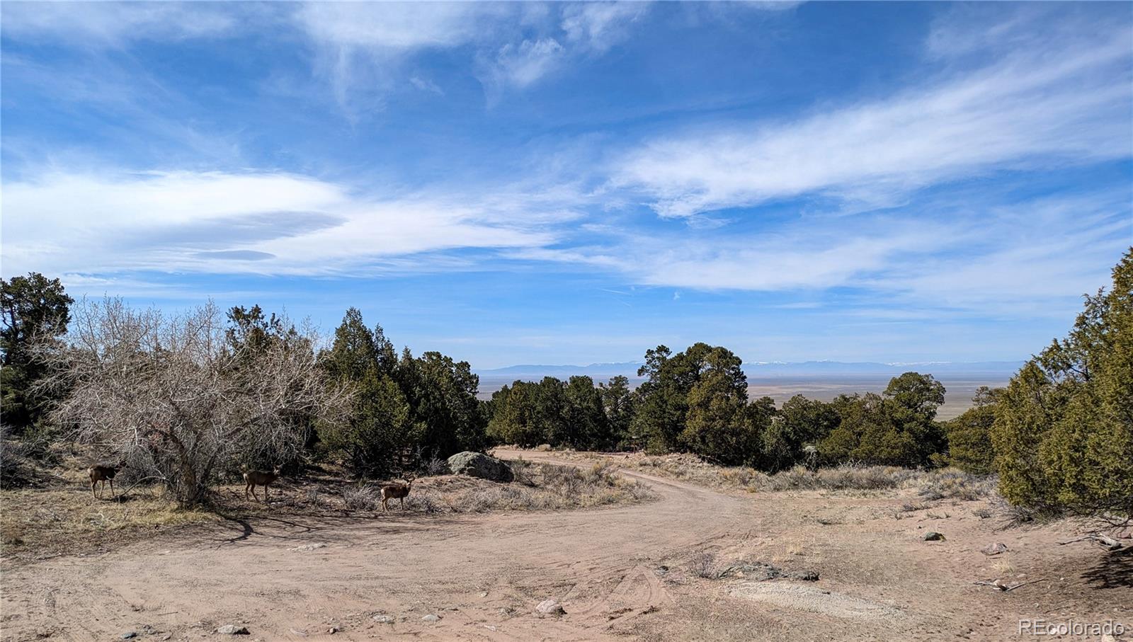 446 Arrowhead Way, Unit OVERLOOK Crestone, CO 81131 - Photo 18 of 18 a view of a dry yard with wooden fence