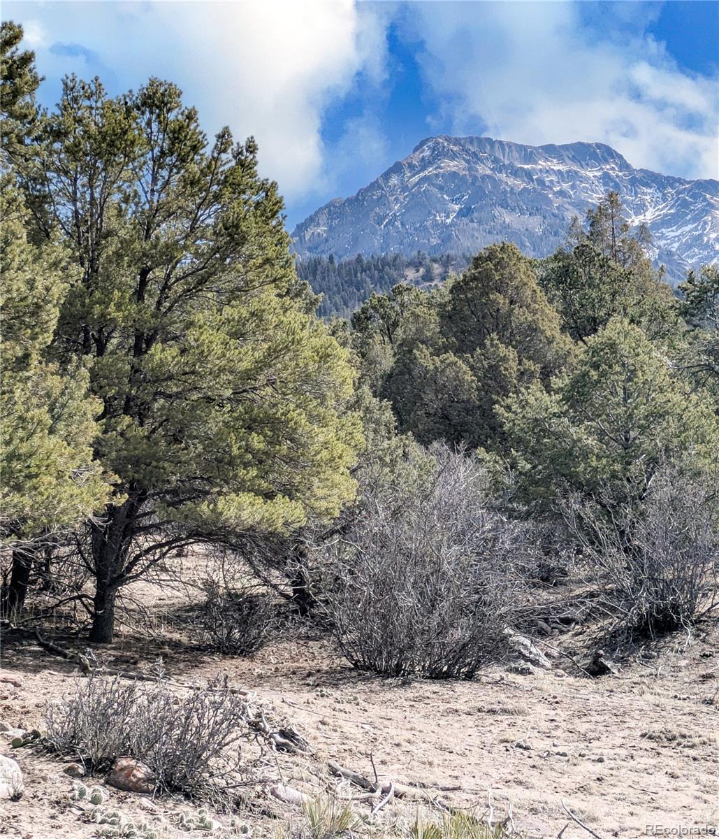 446 Arrowhead Way, Unit OVERLOOK Crestone, CO 81131 - Photo 2 of 18 a view of a yard