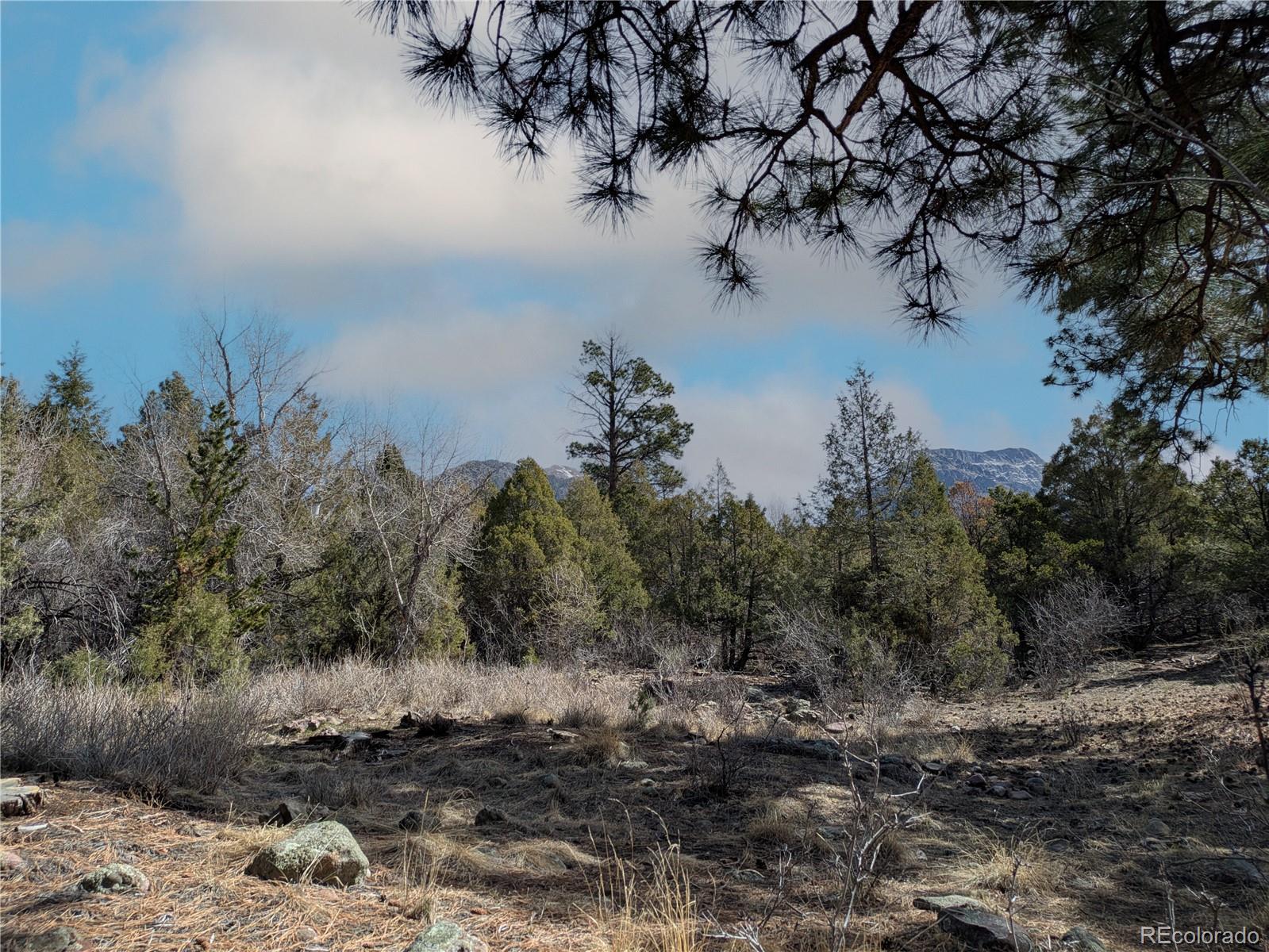 446 Arrowhead Way, Unit OVERLOOK Crestone, CO 81131 - Photo 5 of 18 a view of a lake with a mountain in the background