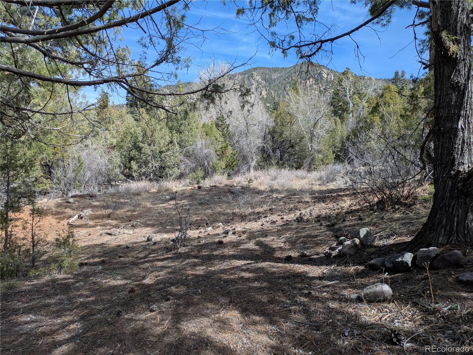446 Arrowhead Way, Unit OVERLOOK Crestone, CO 81131 - Photo 7 of 18 a view of a dry yard with trees