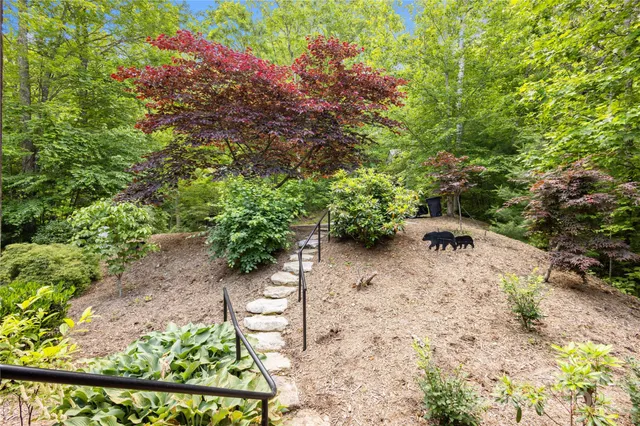 a backyard of a house with lots of green space