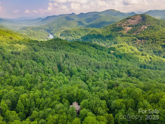 a view of a lush green hillside and a houses