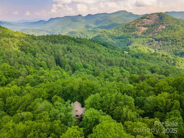 a view of a lush green hillside and a houses