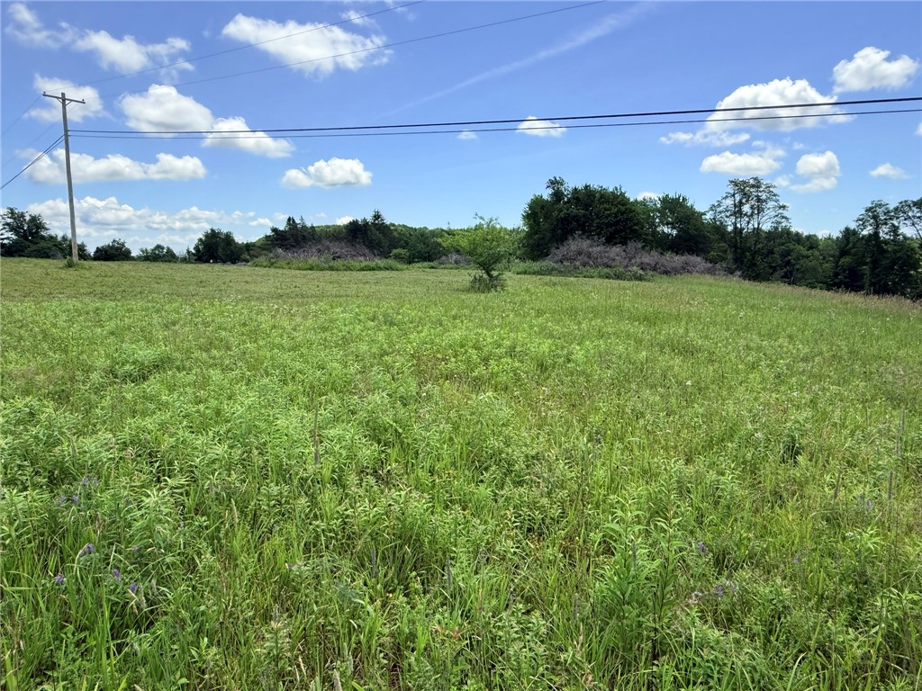 L17 North Pond Road Guilford, NY 13780 - Photo 11 of 19