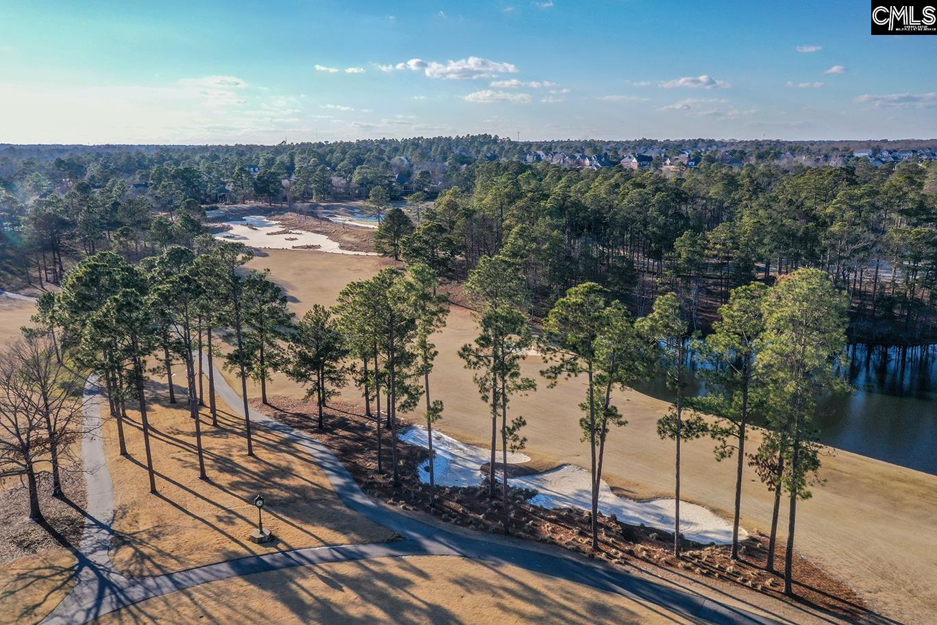 553 Jacobs Millpond Road Elgin, SC 29045 - Photo 69 of 74