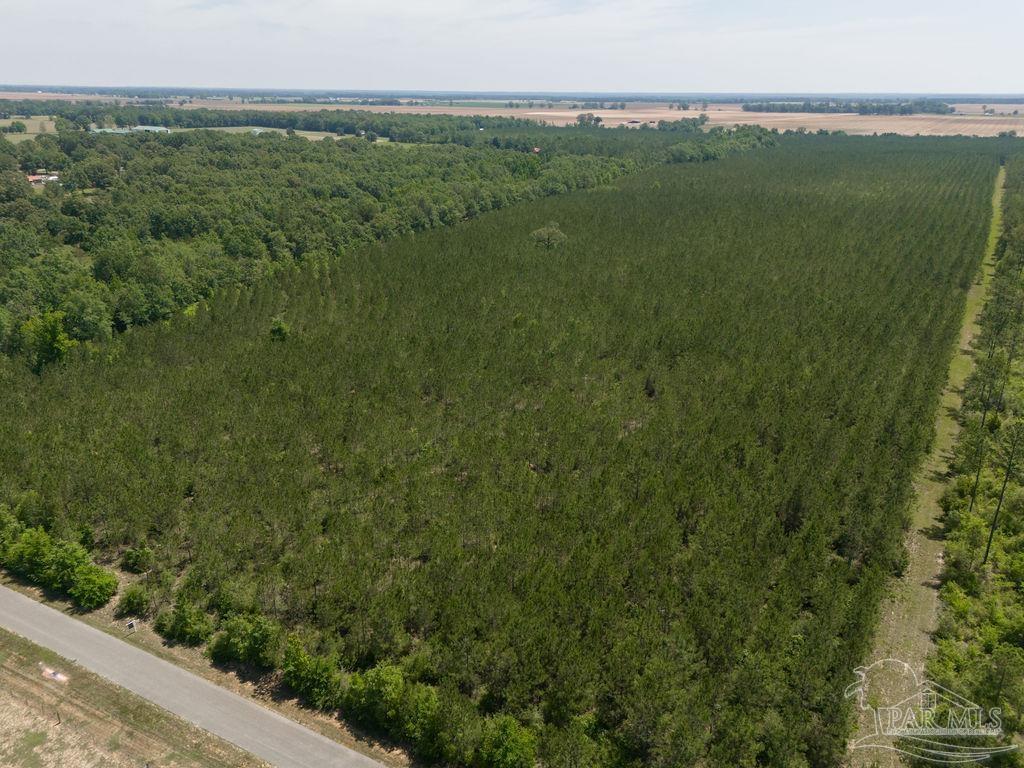 11 Bud Diamond Road Jay, FL 32565 - Photo 18 of 19