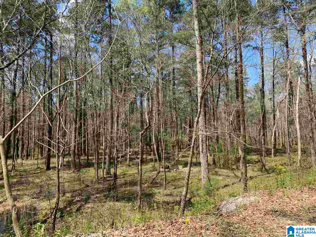 5925 Cahaba Valley Road, Unit 1 Birmingham, AL 35242 - Photo 7 of 21