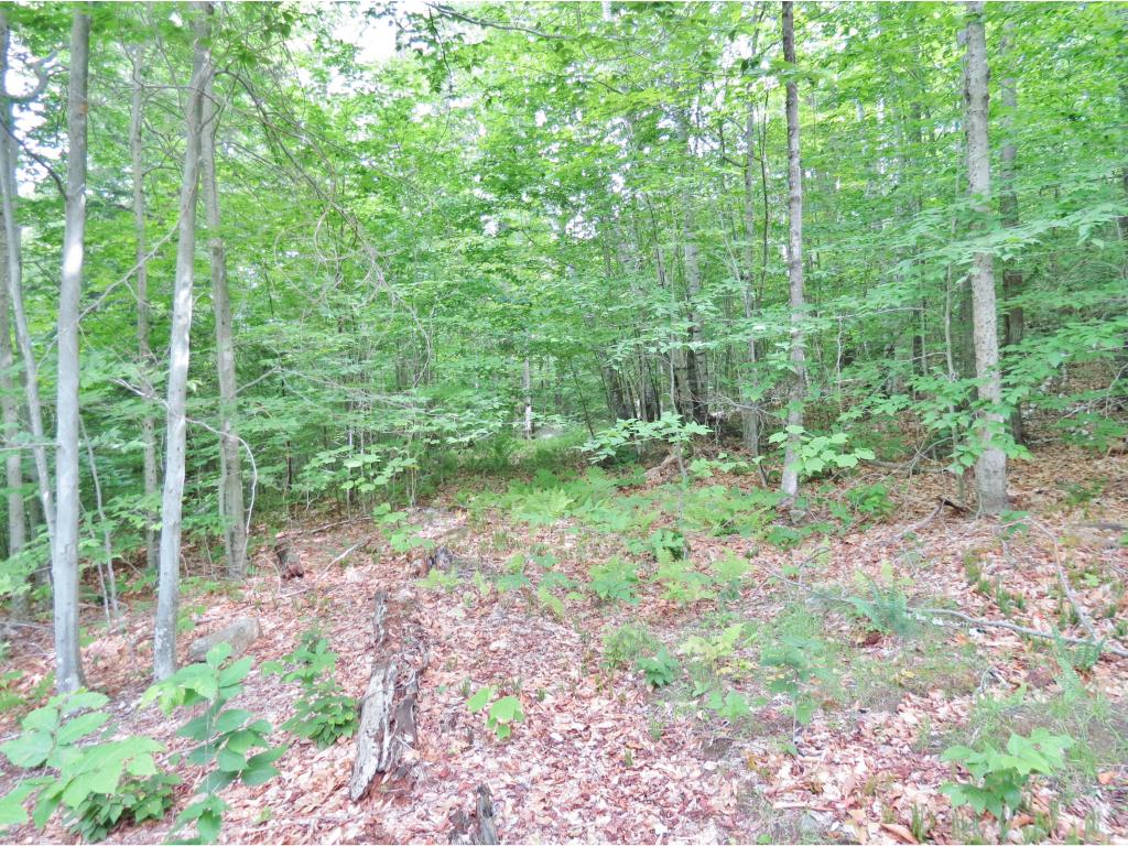 0 Murdock Road Chester, VT 05143 - Photo 22 of 25