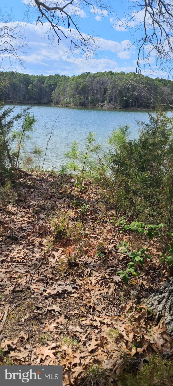 a view of a lake from a yard