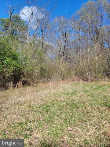 a view of house with a yard