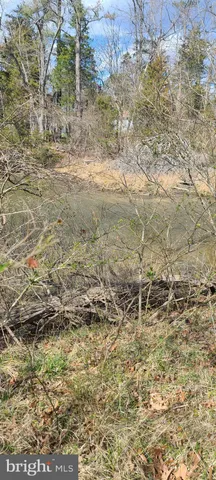 a view of backyard with green space
