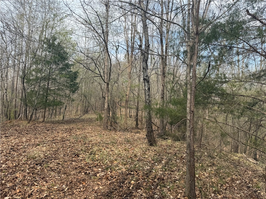0 Holland Ford Road Pelzer, SC 29669 - Photo 10 of 35