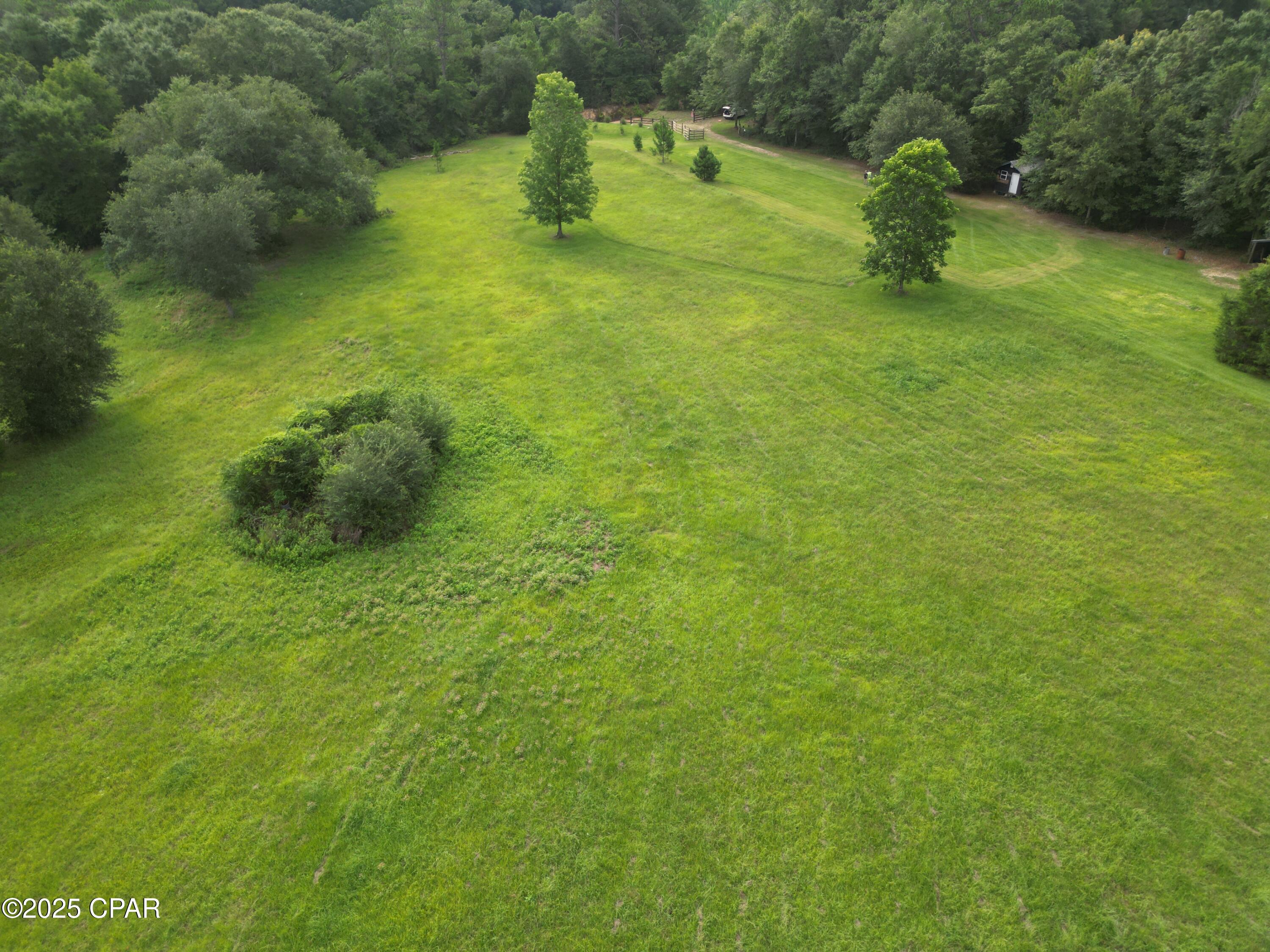 2038 Caney Branch Road Bonifay, FL 32425 - Photo 10 of 38 Gallery Image 10