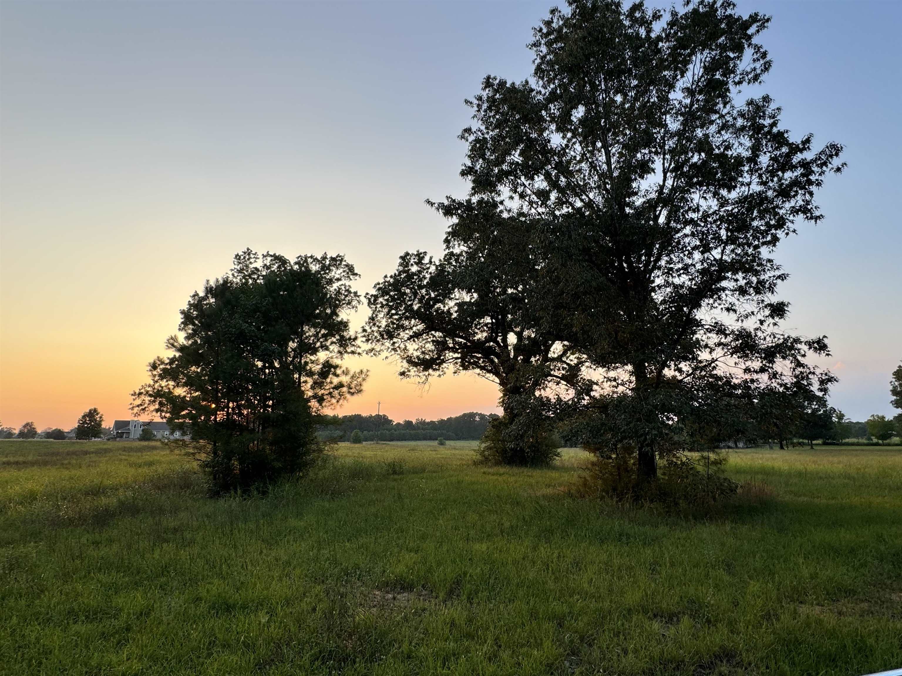 0 Dr Williams Road Michie, TN 38357 - Photo 15 of 24 a view of a grassy field with trees around