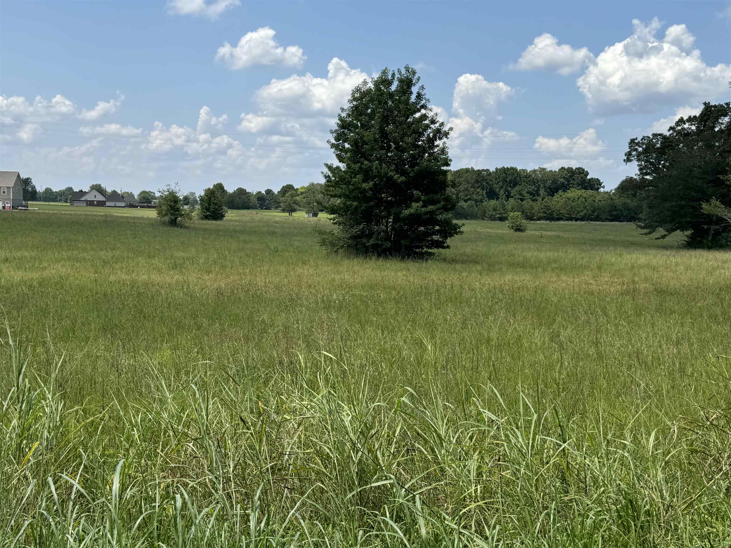0 Dr Williams Road Michie, TN 38357 - Photo 16 of 24 a view of a lake with a big yard