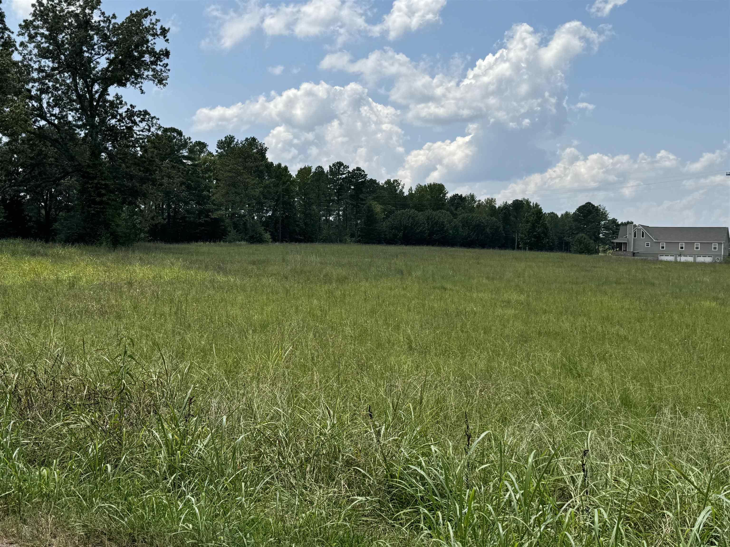 0 Dr Williams Road Michie, TN 38357 - Photo 17 of 24 a view of an ocean and beach